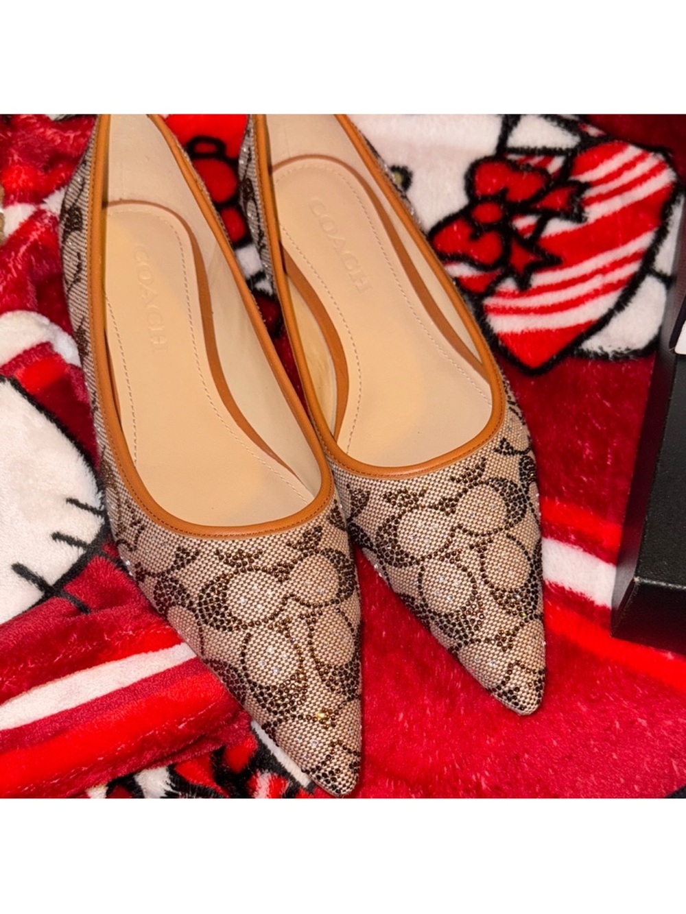 Coach Signature Pointed Toe Flats in Beige with Tan Trim